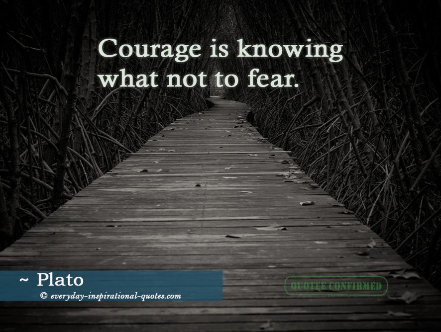 Courage is knowing what not to fear