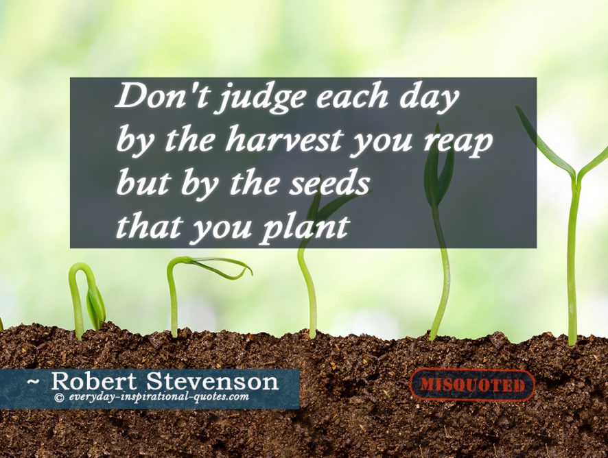 Don't judge each day by the harvest you reap but by the seeds that you plant