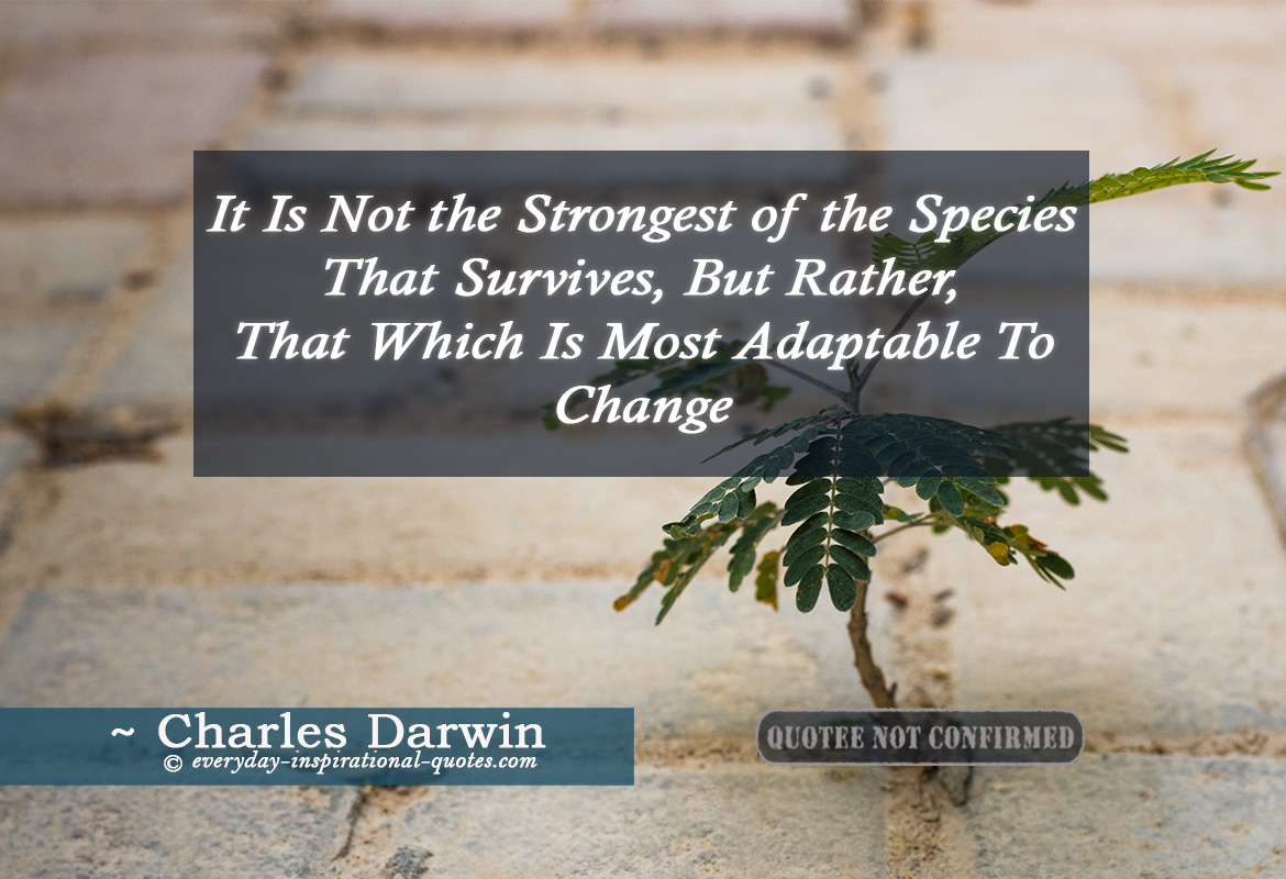It Is Not the Strongest of the Species That Survives, But Rather, That Which Is Most Adaptable To Change